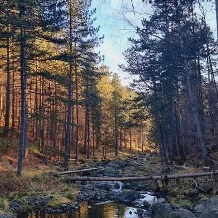 Divcibarski M.s.a. Kutak