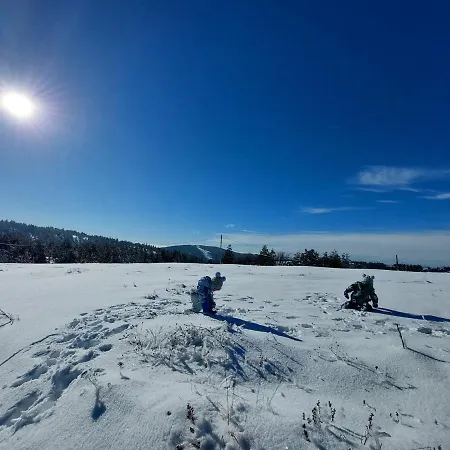 Divcibarski M.s.a. Kutak