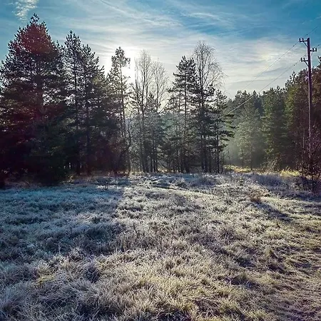 Divcibarski M.s.a. Kutak Divčibare