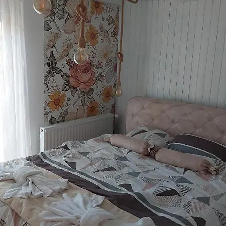 Divcibarski M.s.a. Kutak Holiday home *