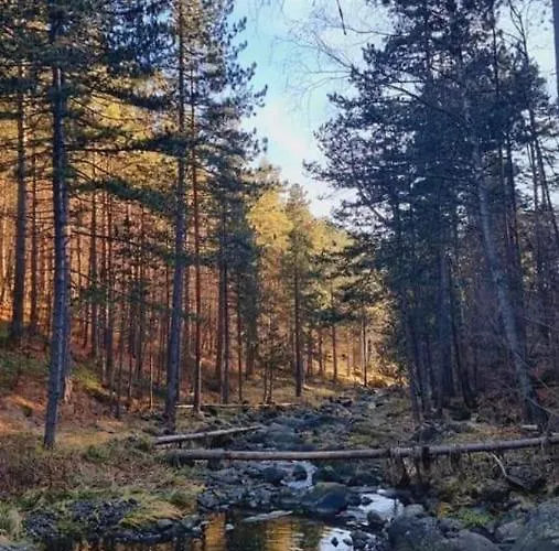 Divcibarski M.s.a. Kutak