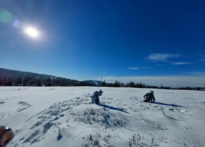 Divcibarski M.s.a. Kutak