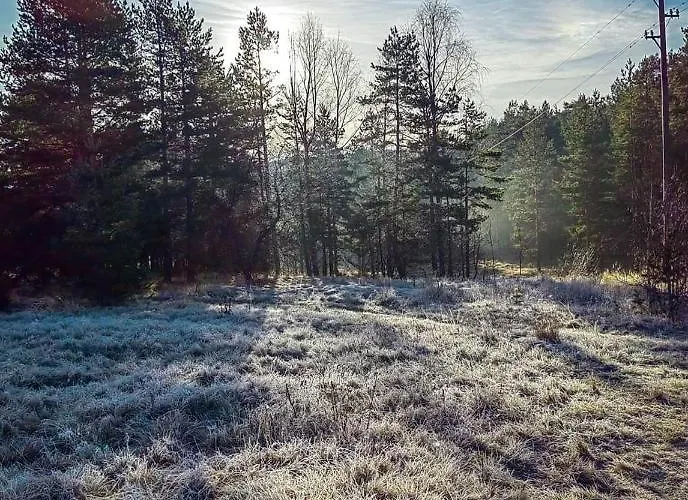 Divcibarski M.s.a. Kutak Divčibare